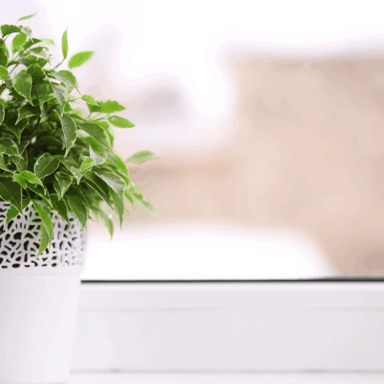 Green indoor plant in a decorative white pot placed on a windowsill with soft natural light
