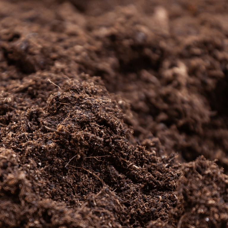 Nutrient-rich potting soil for indoor plants