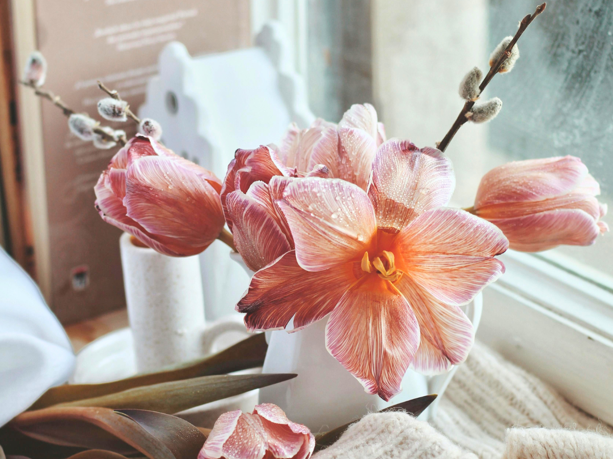 Green indoor plant in a white decorative pot on a white windowsill with a soft blurred background.
