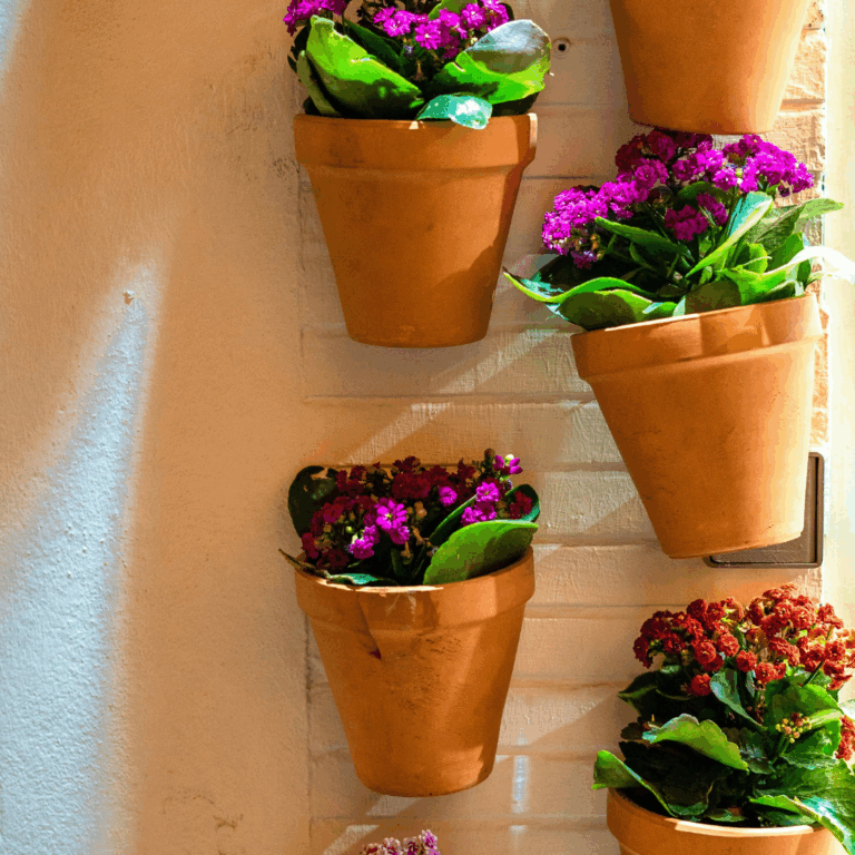 Terracotta pots with pink and red flowering plants mounted vertically on a white wall.