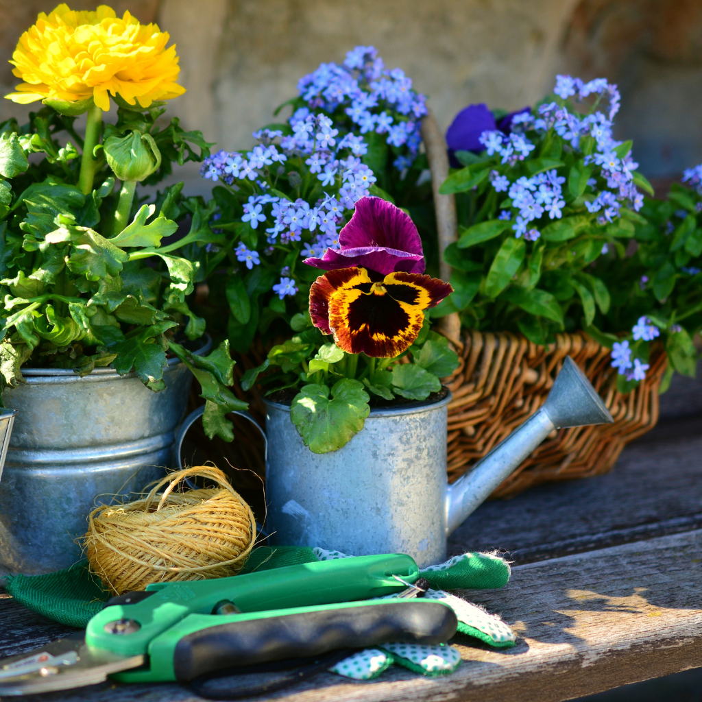 Freshly picked flowers in watering cans and baskets with garden tools on a wooden bench