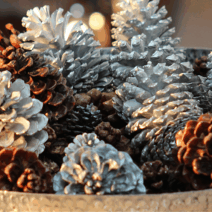 Silver-painted pinecones arranged with ambient soft lighting for seasonal decor
