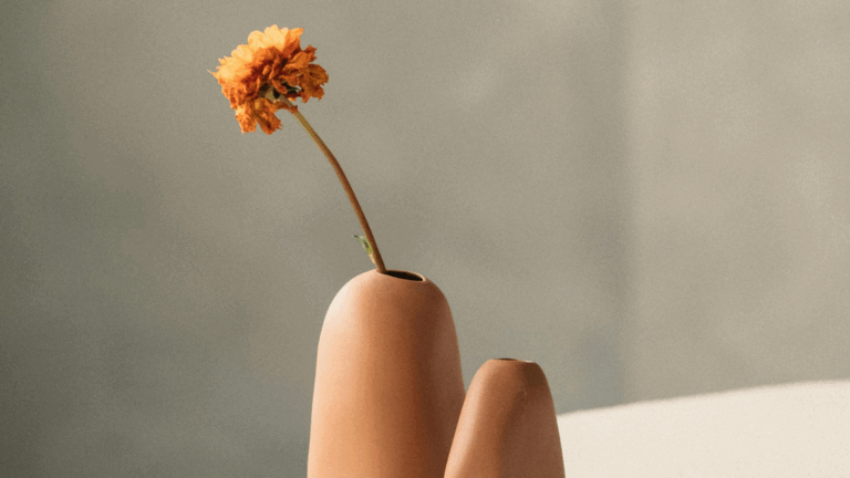 Minimalist terracotta ceramic vases with a single dried flower against a neutral background