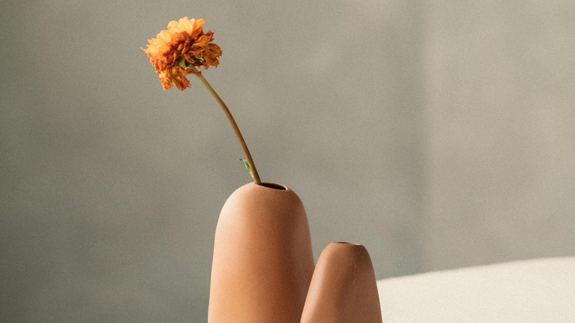 Minimalist terracotta ceramic vases with a single dried flower against a neutral background