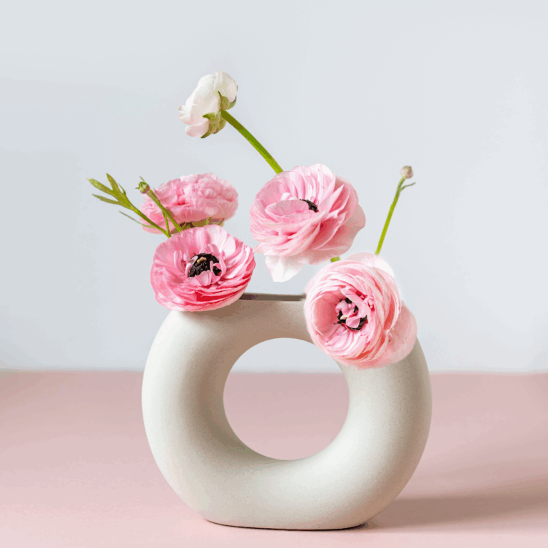 Modern ring-shaped ceramic vase with pink ranunculus flowers on a pastel pink surface