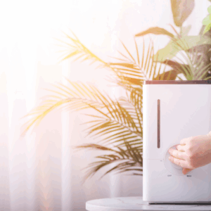 Person adjusting a white humidifier with indoor plants and sunlight in the background.