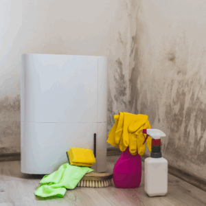 Dehumidifier and cleaning products placed in front of a moldy wall in a corner.