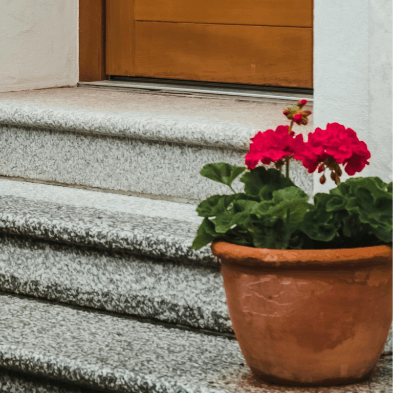 Terracotta planter with bright red flowers placed by a home's front steps