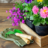 How to Create a Mini Flower Garden in Small Cozy Spaces